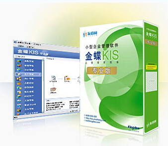 金蝶KIS專業版V14.1總賬報表模塊 金蝶財務軟件正版
